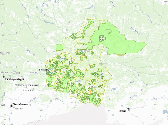 Карта лесного фонда тюменской области