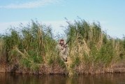 Новые сроки весенней охоты 2017 в Курганской области
