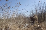 Предварительные сроки открытия весенней охоты 2017 в Оренбуржье