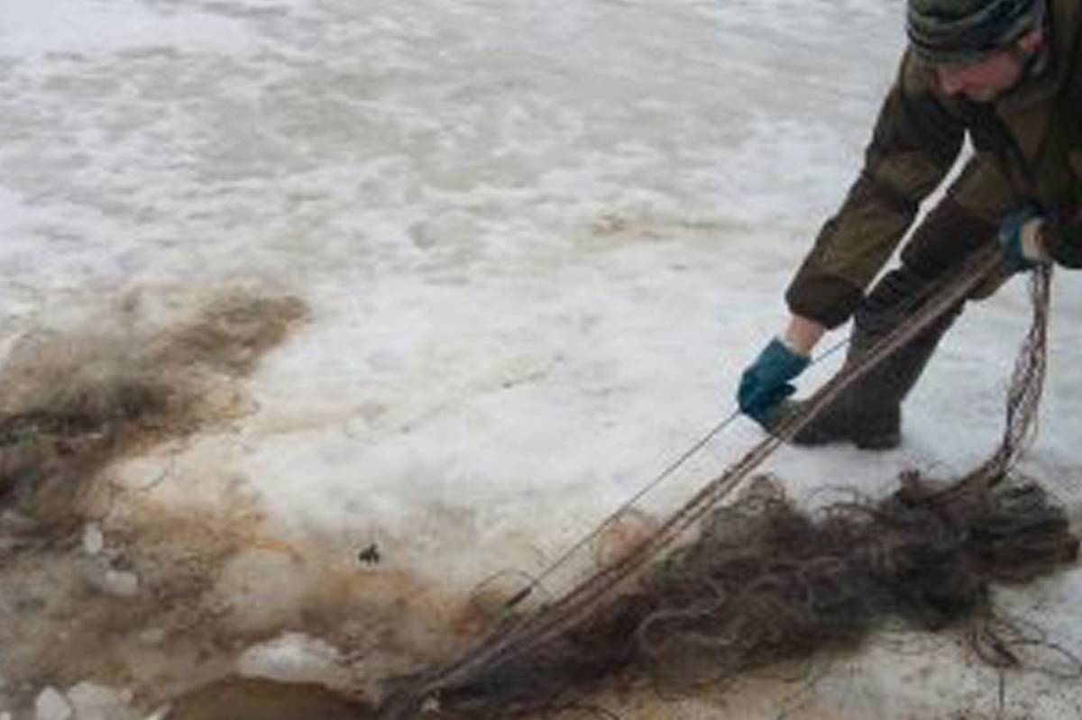 Масштабные рыбоохранные рейды в Вологодской области