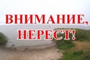 Нерестовый запрет 2017 в Ярославской области