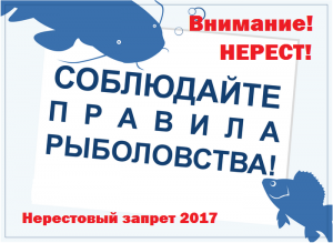На Киевщине с 1 апреля вводится нерестовый запрет на рыбную ловлю | КиївВлада