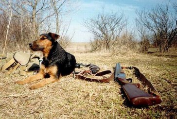 В Тамбовской области установили сроки весенней охоты 2019