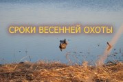 Весенняя охота 2018: В Костроме утвердили сроки
