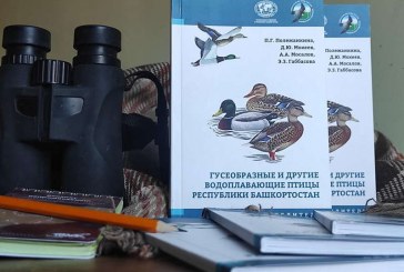 В Уфе издан определитель «Гусеобразные и другие водоплавающие птицы Республики Башкортостан»