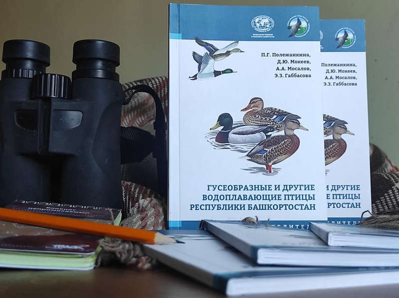 В Уфе издан определитель «Гусеобразные и другие водоплавающие птицы Республики Башкортостан»