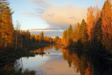 В Кировской области изменились сроки охоты