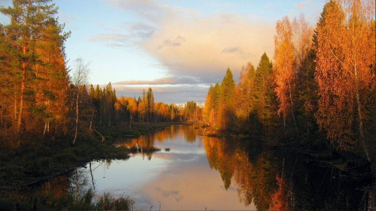 В Кировской области изменились сроки охоты
