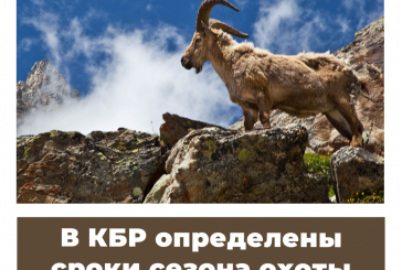 В КБР определены сроки сезона охоты 2022/2023