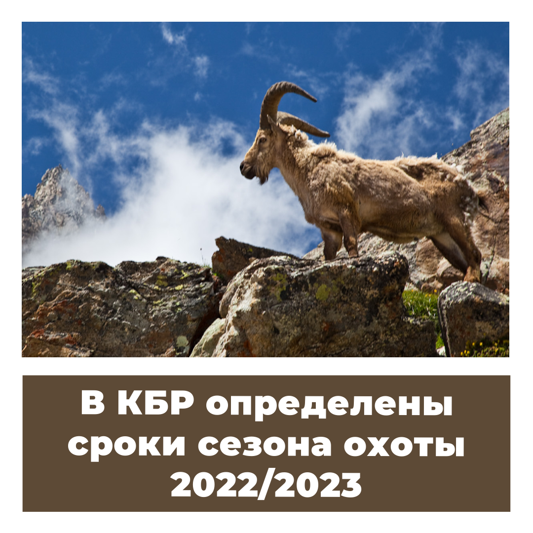 В КБР определены сроки сезона охоты 2022/2023