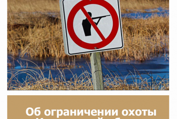 Об ограничении охоты в Ивановской области
