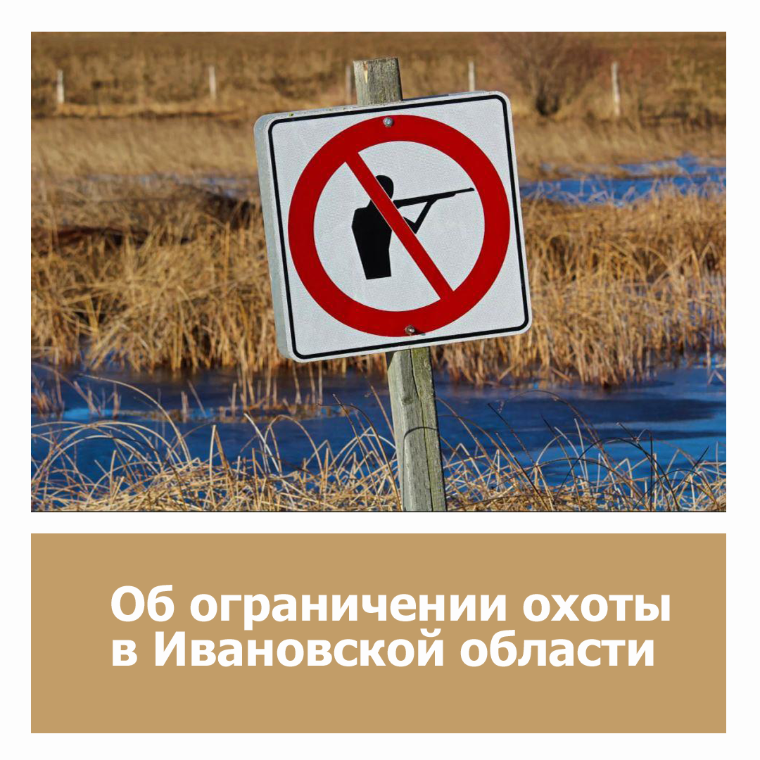 Об ограничении охоты в Ивановской области