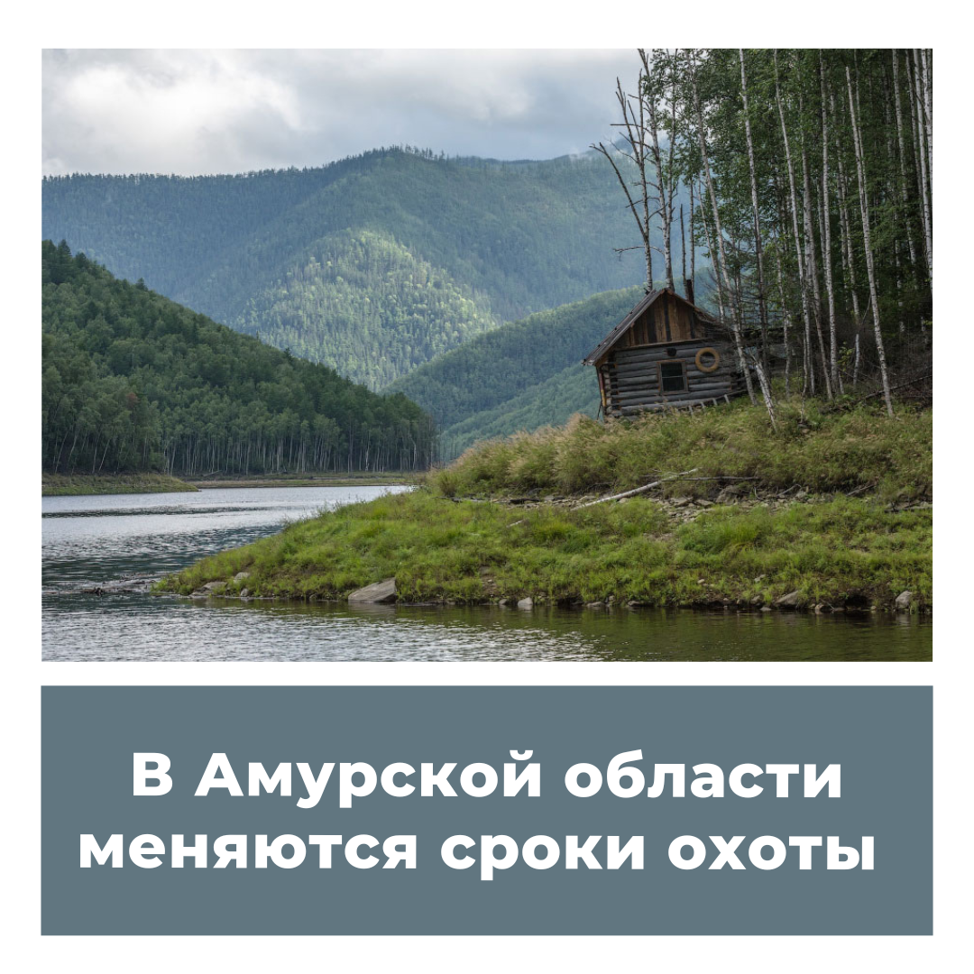 Карта охотника амурская область