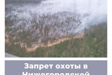 Запрет охоты в Нижегородской области