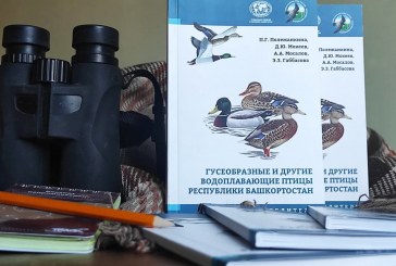 Определитель «Гусеобразные и другие водоплавающие птицы Республики Башкортостан»