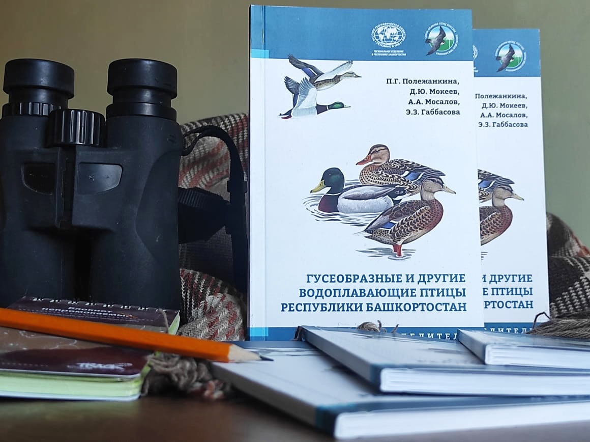 Определитель «Гусеобразные и другие водоплавающие птицы Республики Башкортостан»