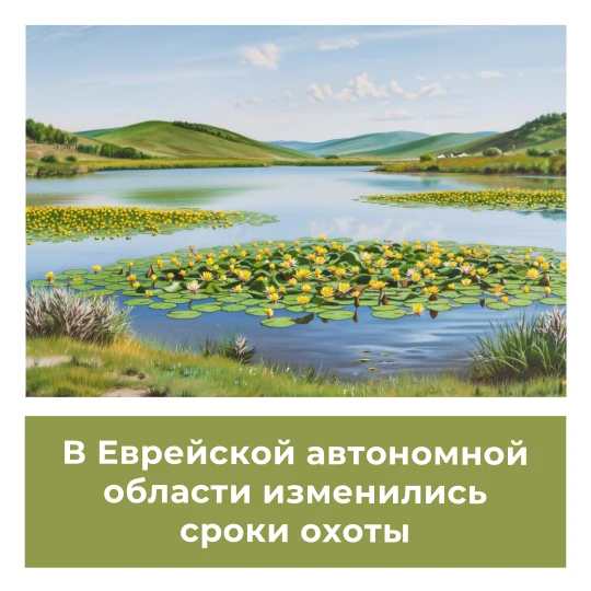 В Еврейской автономной области изменились сроки охоты