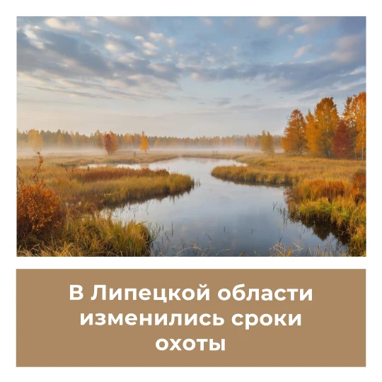 В Липецкой области изменились сроки охоты
