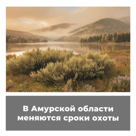 В Амурской области меняются сроки охоты