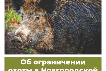 Об ограничении охоты в Новгородской области