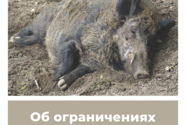 Об ограничениях охоты в Татарстане