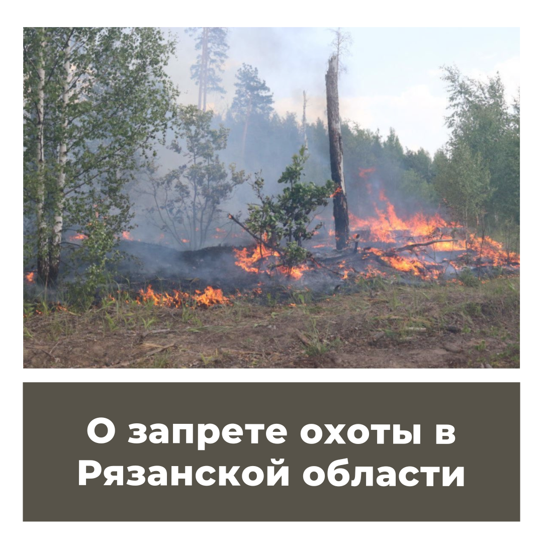 О запрете охоты в Рязанской области