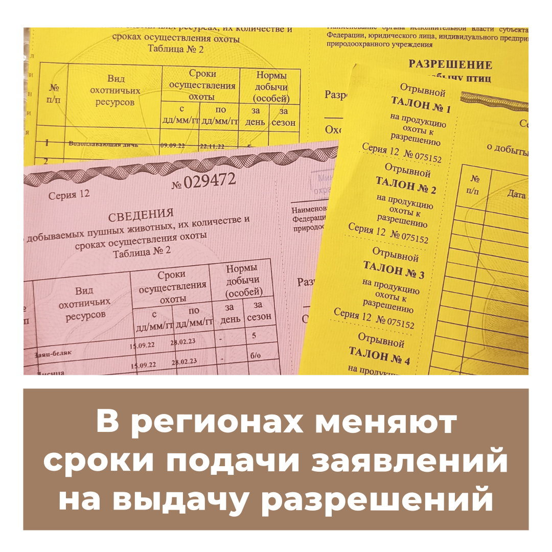 Жеребьевка разрешений на добычу охотничьих ресурсов. Учет охотничьих ресурсов. Заявление о выдаче разрешения на добычу охотничьих ресурсов.