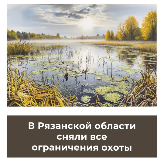 В Рязанской области сняли все ограничения охоты