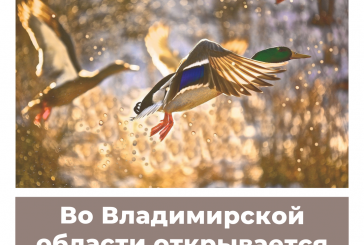 Во Владимирской области открывается сезон охоты