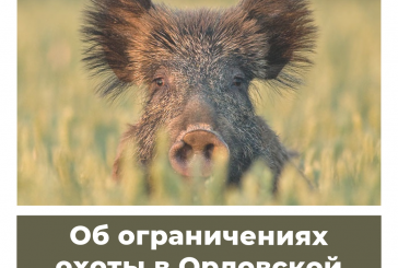 Об ограничениях охоты в Орловской области