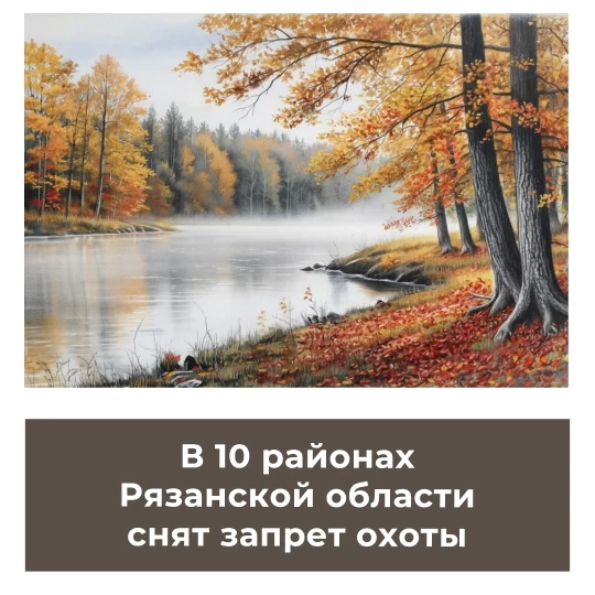 В 10 районах Рязанской области снят запрет охоты