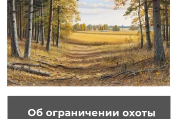 Об ограничении охоты в Курской области