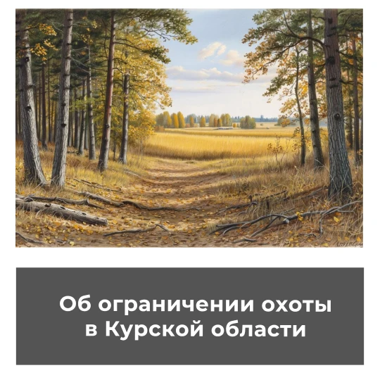 Об ограничении охоты в Курской области