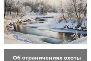 Об ограничениях охоты в Брянской области