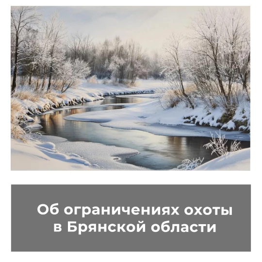 Об ограничениях охоты в Брянской области