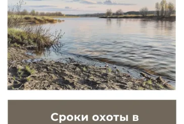 Сроки охоты в Самарской области