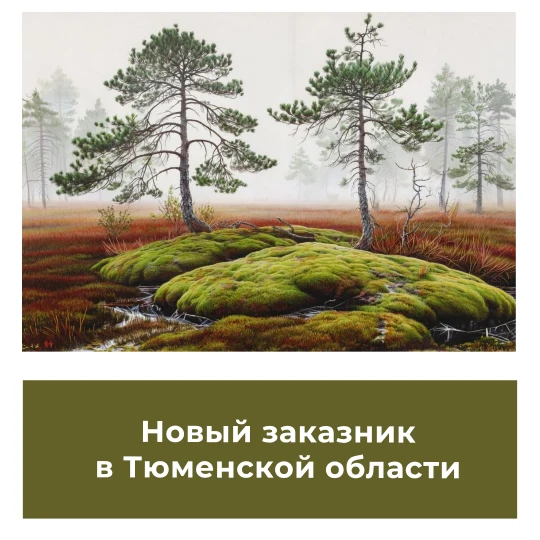 Новый заказник в Тюменской области