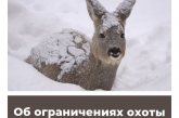 Об ограничениях охоты в Приморском крае