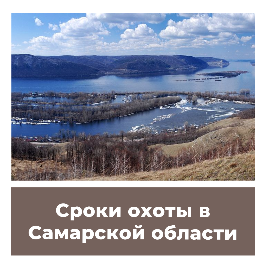 Сроки охоты в Самарской области