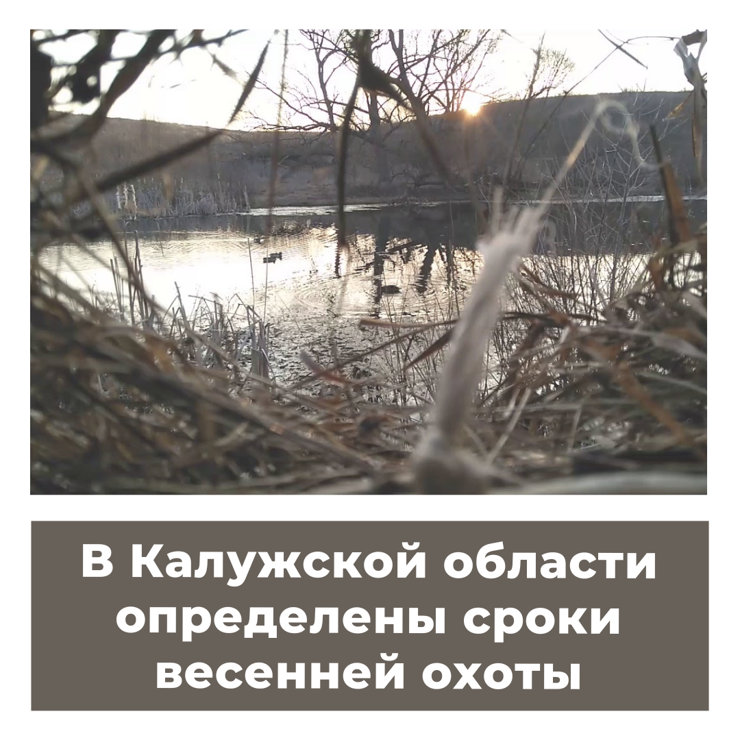 В Калужской области определены сроки весенней охоты