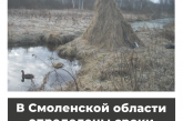 В Смоленской области определены сроки весенней охоты