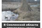В Смоленской области определены сроки весенней охоты