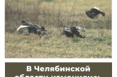 В Челябинской области изменились сроки весенней охоты