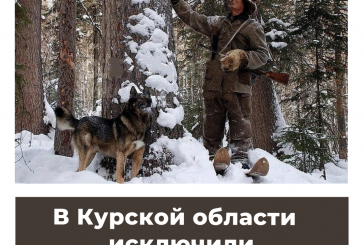 В Курской области  исключили промысловую охоту