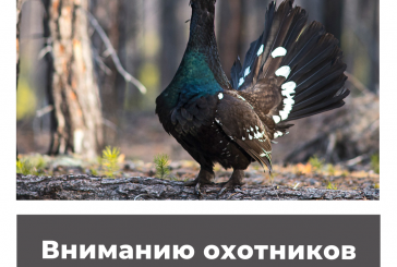 Вниманию охотников Свердловской области