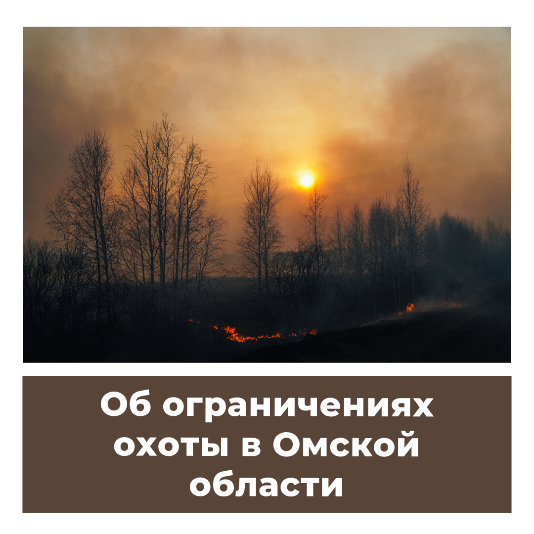 Об ограничениях охоты в Омской области