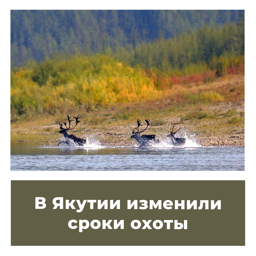 В Якутии изменили сроки охоты