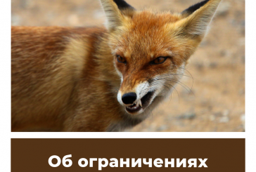 Об ограничениях охоты в Якутии