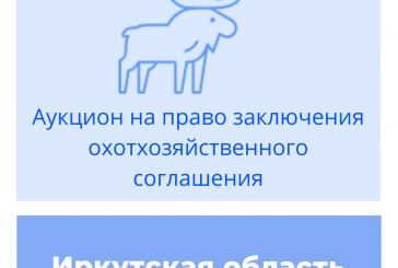 В Иркутской области состоятся торги на право заключения охотхозяйственных соглашений