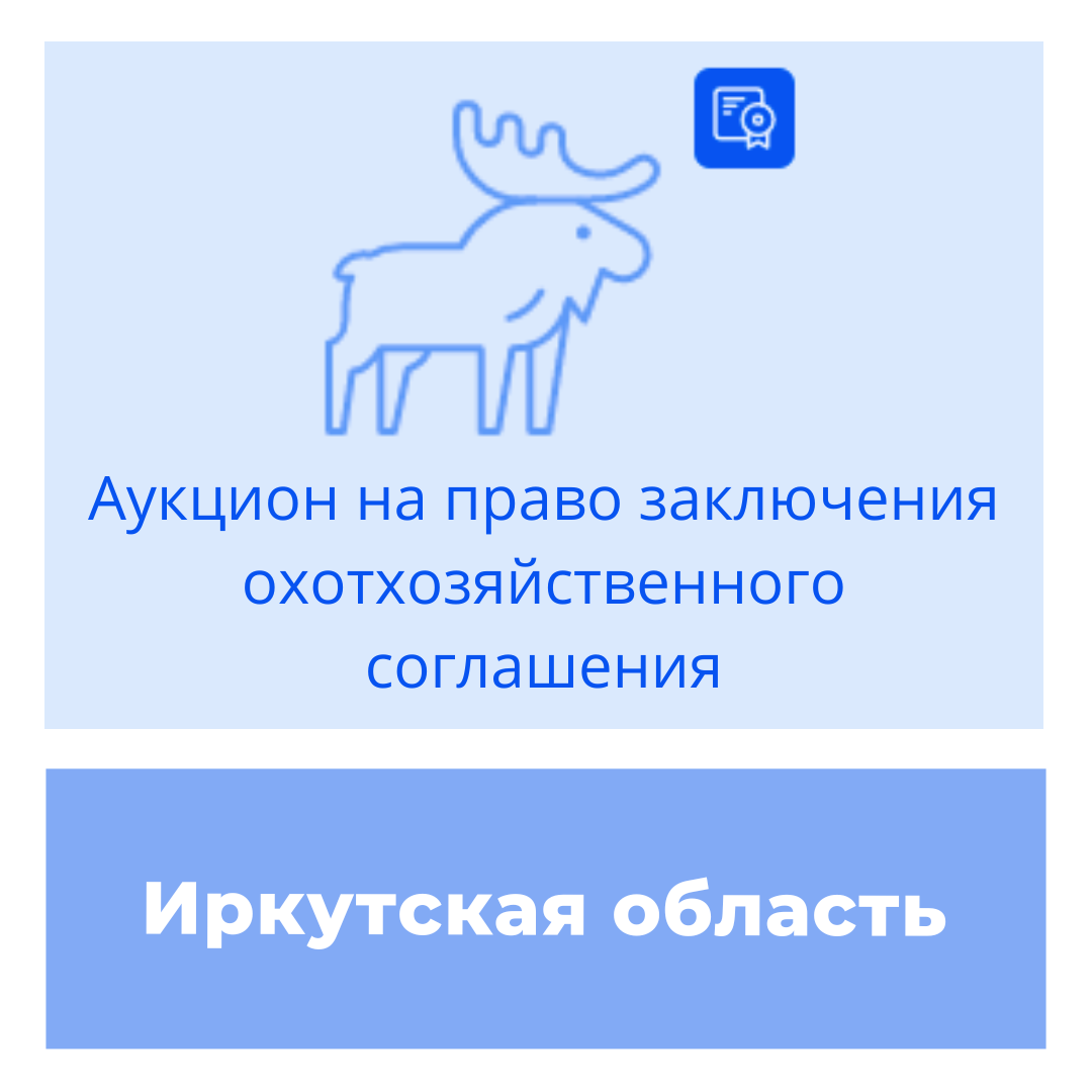 В Иркутской области состоятся торги на право заключения охотхозяйственных соглашений